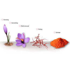 Plain Saffron-Herbal Grinder - Saffron Growth