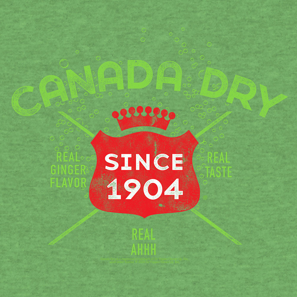 Canada Dry logo on a green background