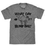 Gray t-shirt with a camel graphic and text 'What day is it? Hump day!' on a white background